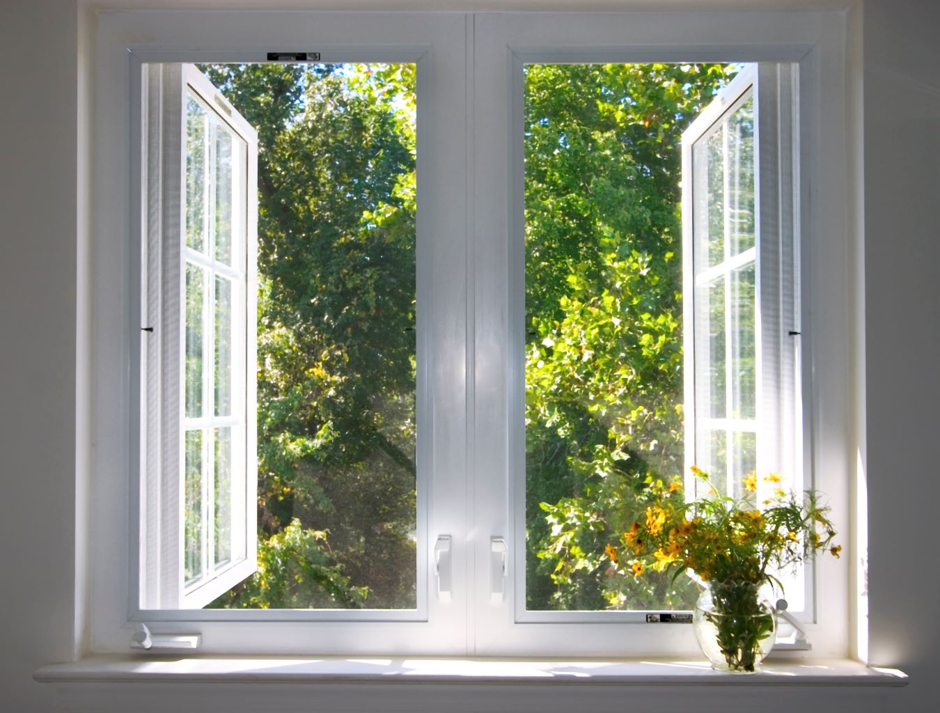 Ansicht vom Innenraum auf geöffnetes Doppelfenster und Aussicht nach draußen, mit Blumenvase auf dem Fensterbrett