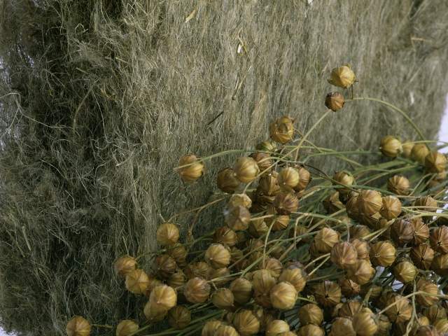 Naturdämmstoff Flachs