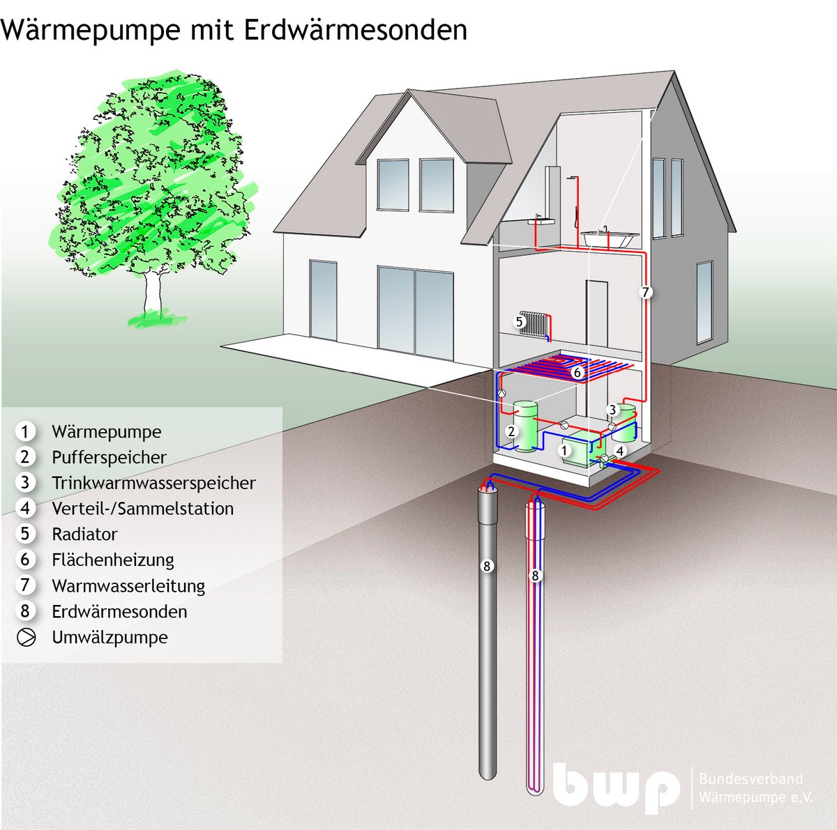 Darstellung der Erdwärmesonden für eine Wärmepumpe